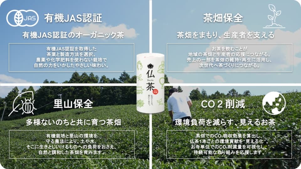 お寺限定サステナブル緑茶飲料『仏茶(Buccha)』年内発売